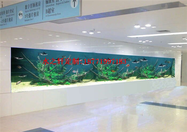 嵌入式魚(yú)缸